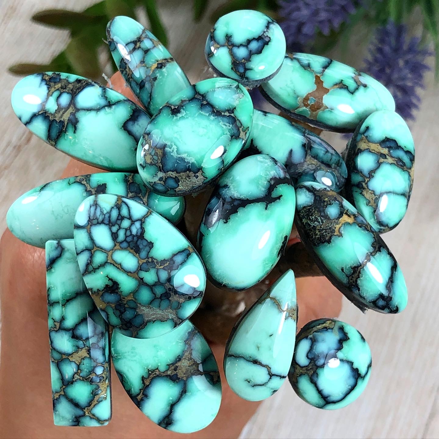 Top Gem Grade Natural Angel Wing Variscite Cabochons by Dillon and Nattarika Hartman